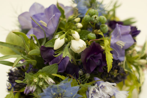 purple&blue  spring flowers in eggplant, detail, Françoise Weeks