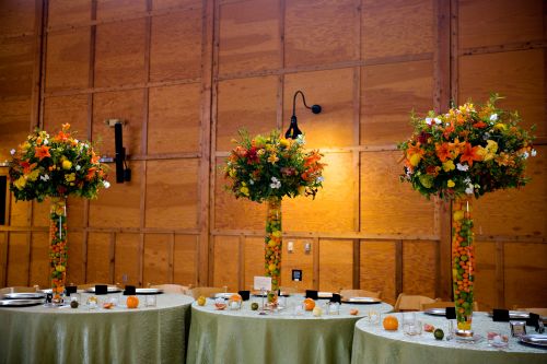 tall arrangement in vase filled with citrus fruits for the head table, Oregon Gardens, Françoise Weeks.bmp