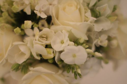 white bridal bouquet, detail, Abernethy Center, Françoise Weeks