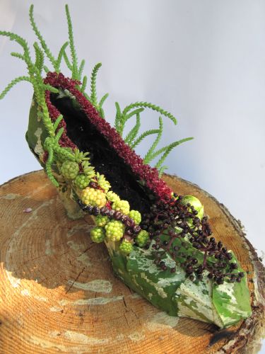 botanical shoe with elderberries  and succulents 2, Françoise Weeks