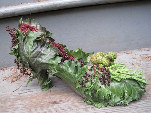 botanical shoe with kale and blackberries, Françoise Weeks