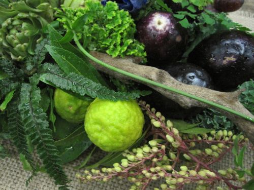 edible arrangement 3 with artichokes, eggplants, herbs, Home garden & Patio Sho