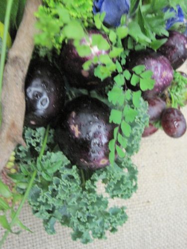 edible arrangement 6 with artichokes, eggplants, herbs, Home garden & Patio Sho