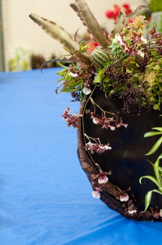 textured arrangement with orchids, Françoise Weeks