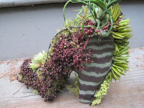 wire botanical shoe  with tillandsias and elderberries 1 , Françoise Weeks