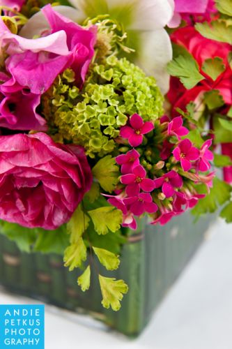 kalanchoe, roses, maidenhair at the base of nerine topiary, Françoise Weeks