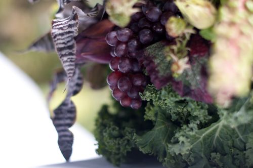kale, grapes, hops, succulents, Françoise Weeks