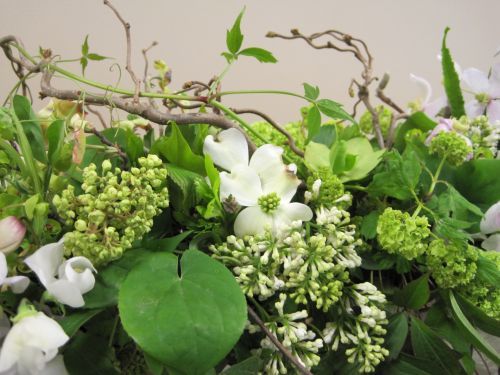 lilacs, viburnum, clematis, hellebore, texture, Françoise Weeks