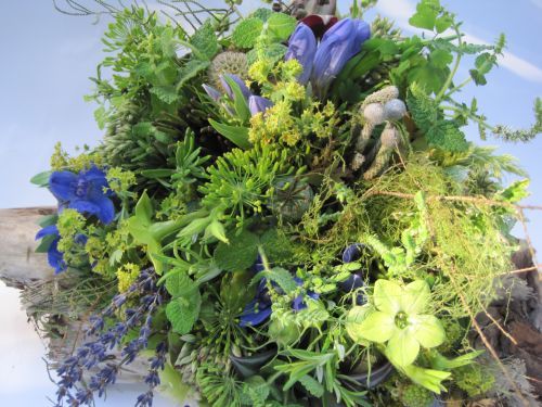 anemones, thistle, lavender, hydrangea, Françoise Weeks