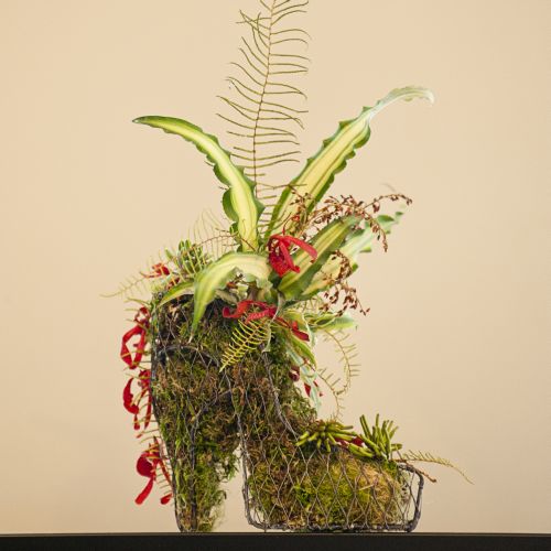botanical shoe with orchids, succulents, fern, eucalyptus pods, Françoise Weeks