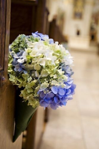 hydrangeas in cone, St Mary's Cathedral Francoise Weeks