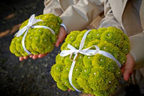 ring bearer pillow made with kermit mums, Youngberg vineyard, Françoise Weeks