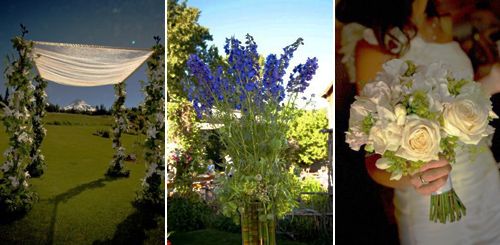 ppah decoration, topiary, bridal bouquet, Mt Hood bed&breakfast, Françoise Weeks
