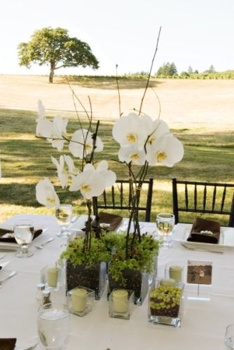 white flower phaelonopsis arrangement for head table, Françoise Weeks