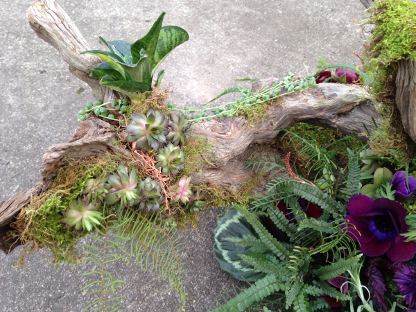 Françoise Weeks Gnarled Root Structure with Spring Flowers - Françoise ...