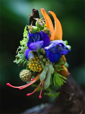 botanical ring, Francoise Weeks photo Theresa Bear